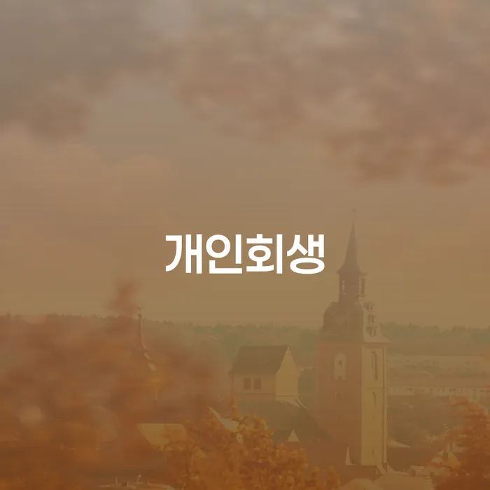 개인회생소득 채무조정제도을 이용하여 노하우