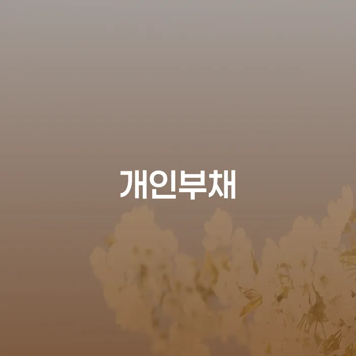 개인회생파산 개인회생 제도 진행방안