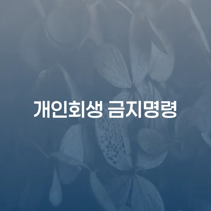 개인회생 개인파산 선택을 어떻게..