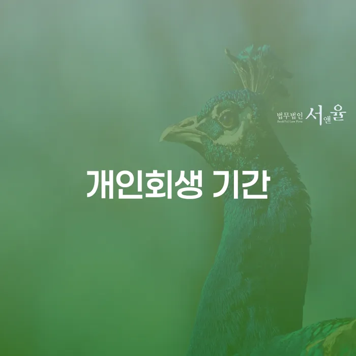 개인회생서류 채무조정제도을 이용하여 잘 하는 변호사