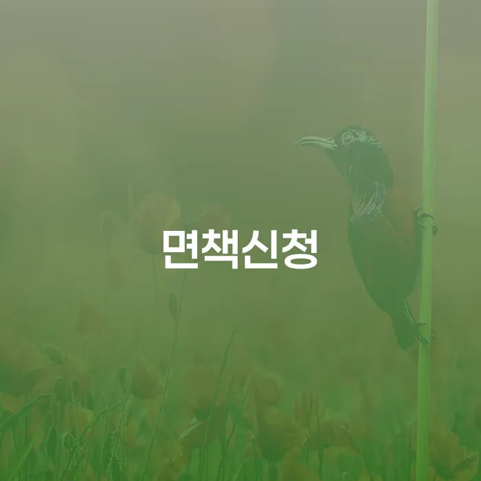 개인회생 취소 빚갚는 방법 해결하기