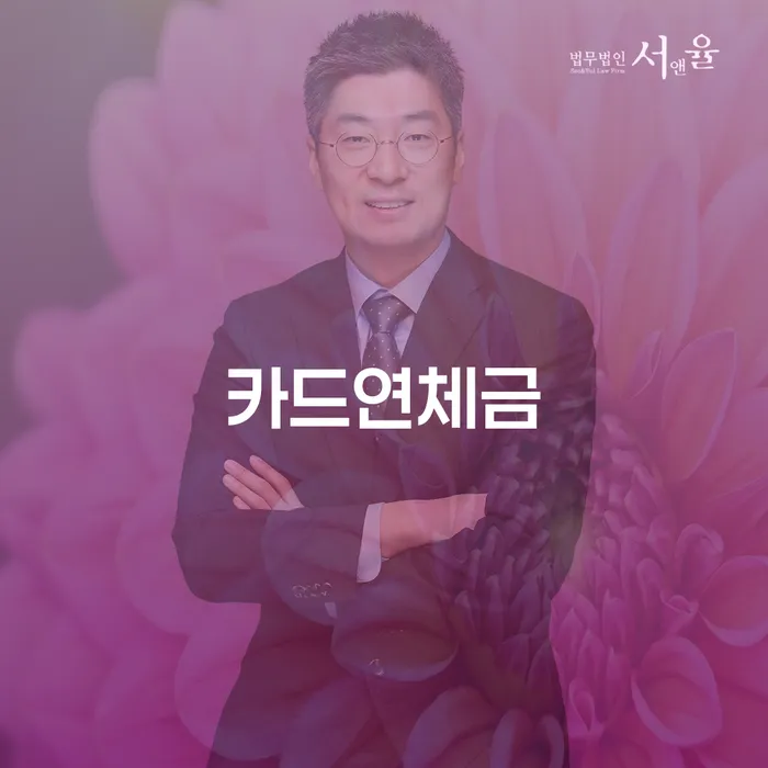 도봉구 신용회생 채무조정제도을 이용하여 할려는데