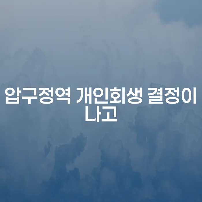 압구정역 개인회생 결정이나고