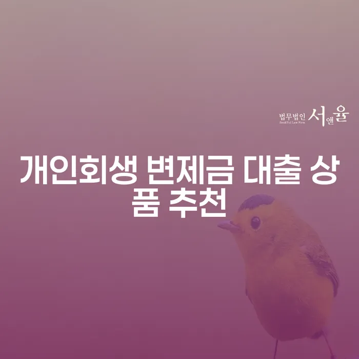 개인회생 변제금 대출 상품, 어떻게 선택해야 할까요?