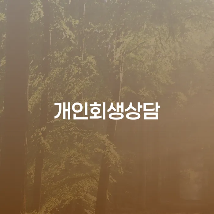 삼성동 개인회생 상담의 필요성과 절차