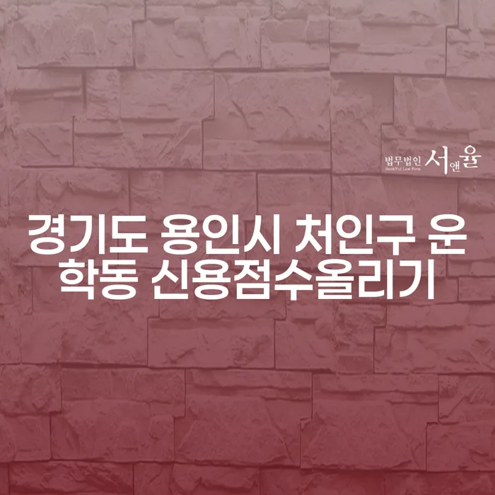 경기도 용인시 처인구 운학동에서 신용점수를 올리려면 어떻게 해야 할까요?
