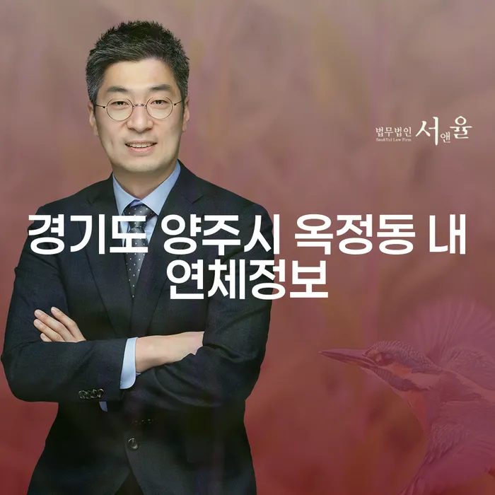 경기도 양주시 옥정동 내연체정보, 바로회생이 필요한 이유는 무엇일까요?