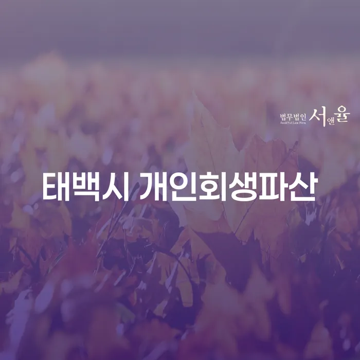 태백시에서 개인회생과 파산을 통해 채무 해결할 수 있는 방법은 무엇인가요?