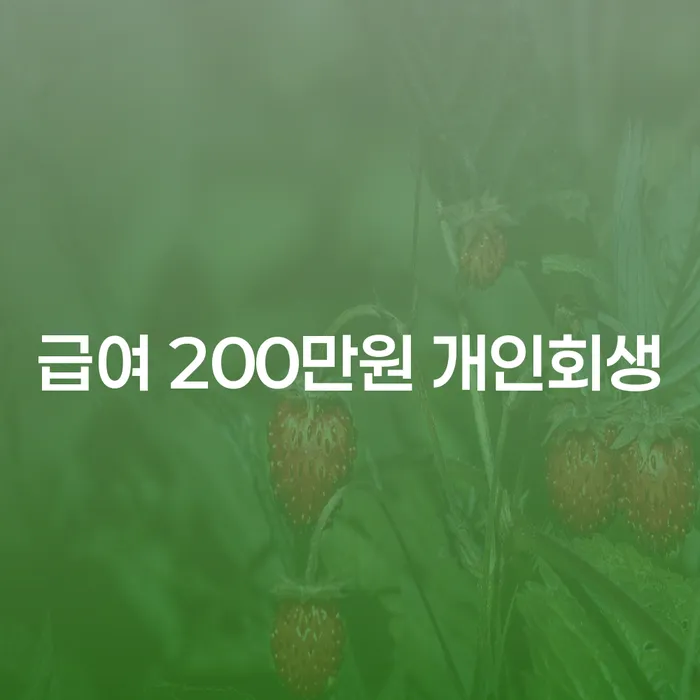 급여 200만원으로 개인회생을 신청할 수 있을까요?
