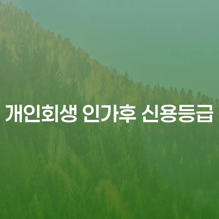 개인회생 인가후 신용등급, 어떻게 회복할 수 있을까요?
