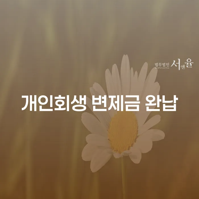 개인회생 변제금 완납, 어떻게 준비해야 할까요?