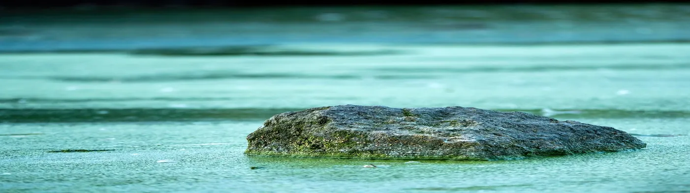 법무법인 서앤율